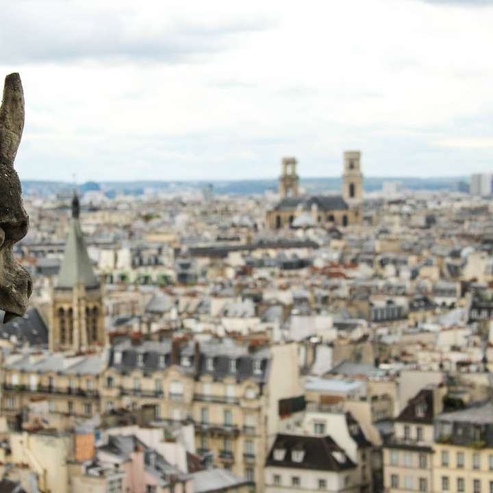 gargoyle with high angled view of town online puzzle