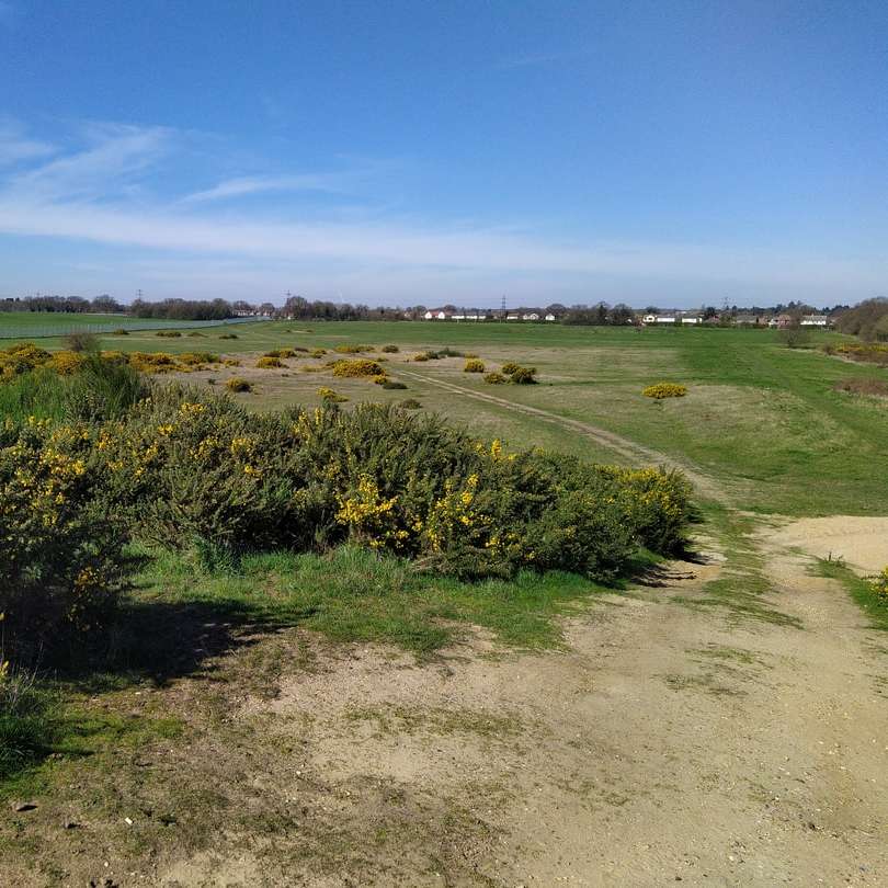 groen grasveld onder de blauwe hemel overdag schuifpuzzel online