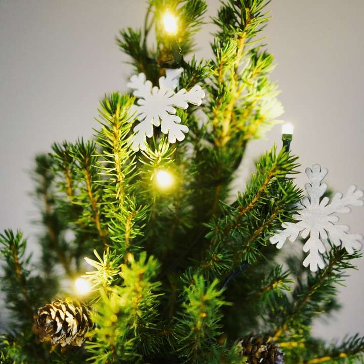 緑のクリスマスツリーの浅い焦点の写真 オンラインパズル