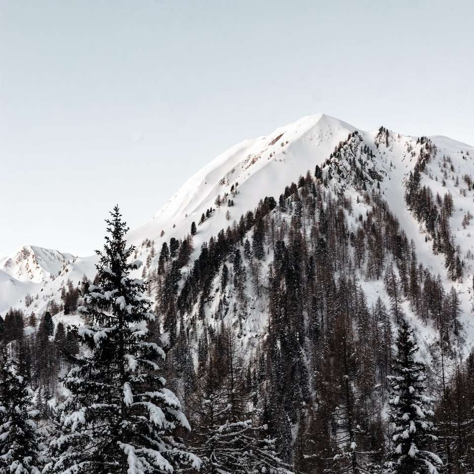 Berg mit Schnee bedeckt und von Bäumen umgeben Schiebepuzzle online