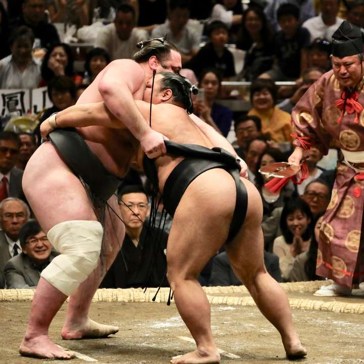 two men in sumo wrestling sliding puzzle online