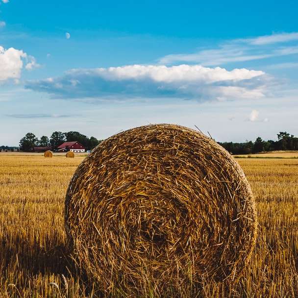 hay on landscape field sliding puzzle online