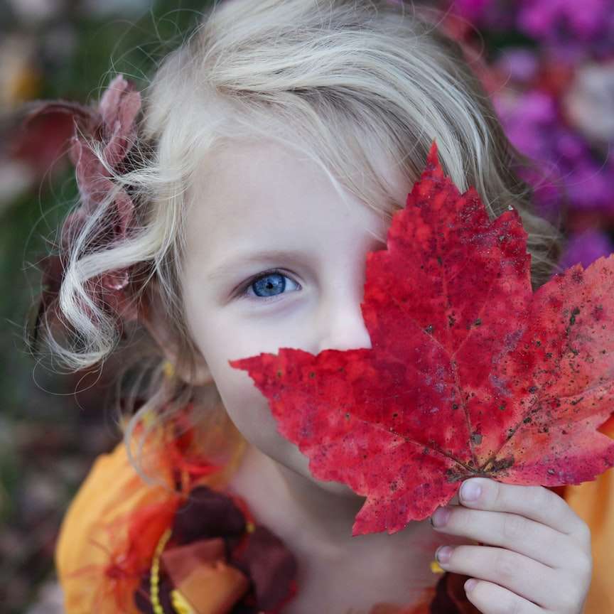 garota segurando folha de bordo vermelha puzzle online