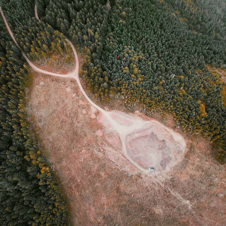 photographie aérienne d'un champ ouvert entouré puzzle en ligne