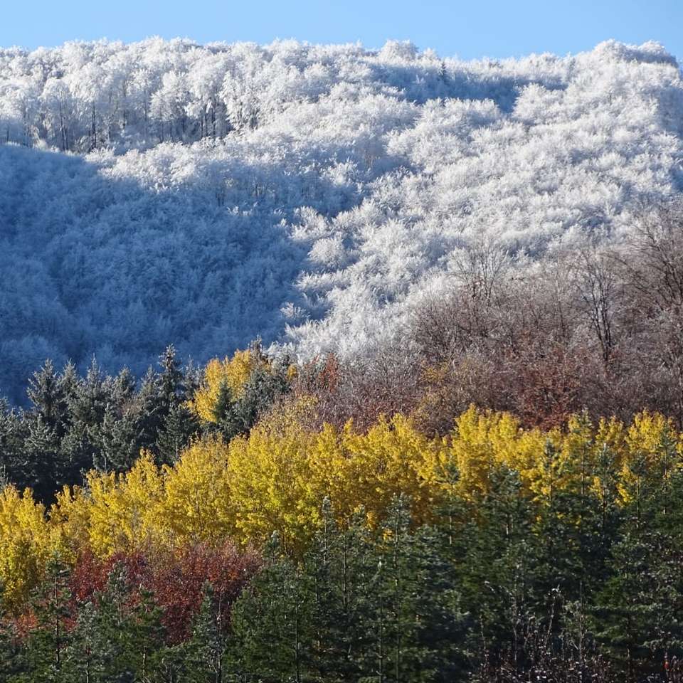 осінь і зима в одному пейзажі онлайн пазл