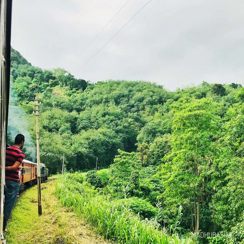 człowiek stojący w pociągu w pobliżu drzew w ciągu dnia puzzle przesuwne online