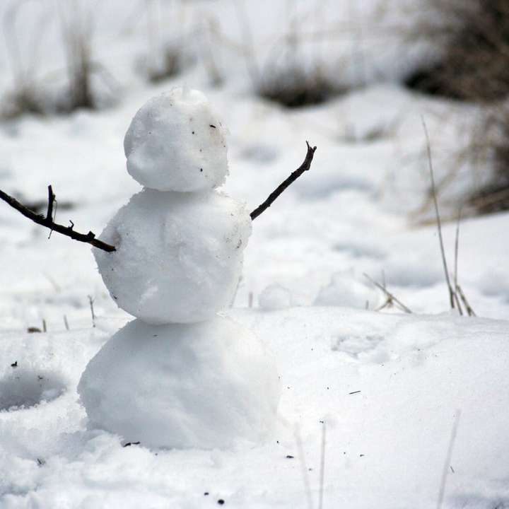 φωτογραφία χιονάνθρωπος με ραβδί χέρια στο χιόνι πεδίο συρόμενο παζλ online