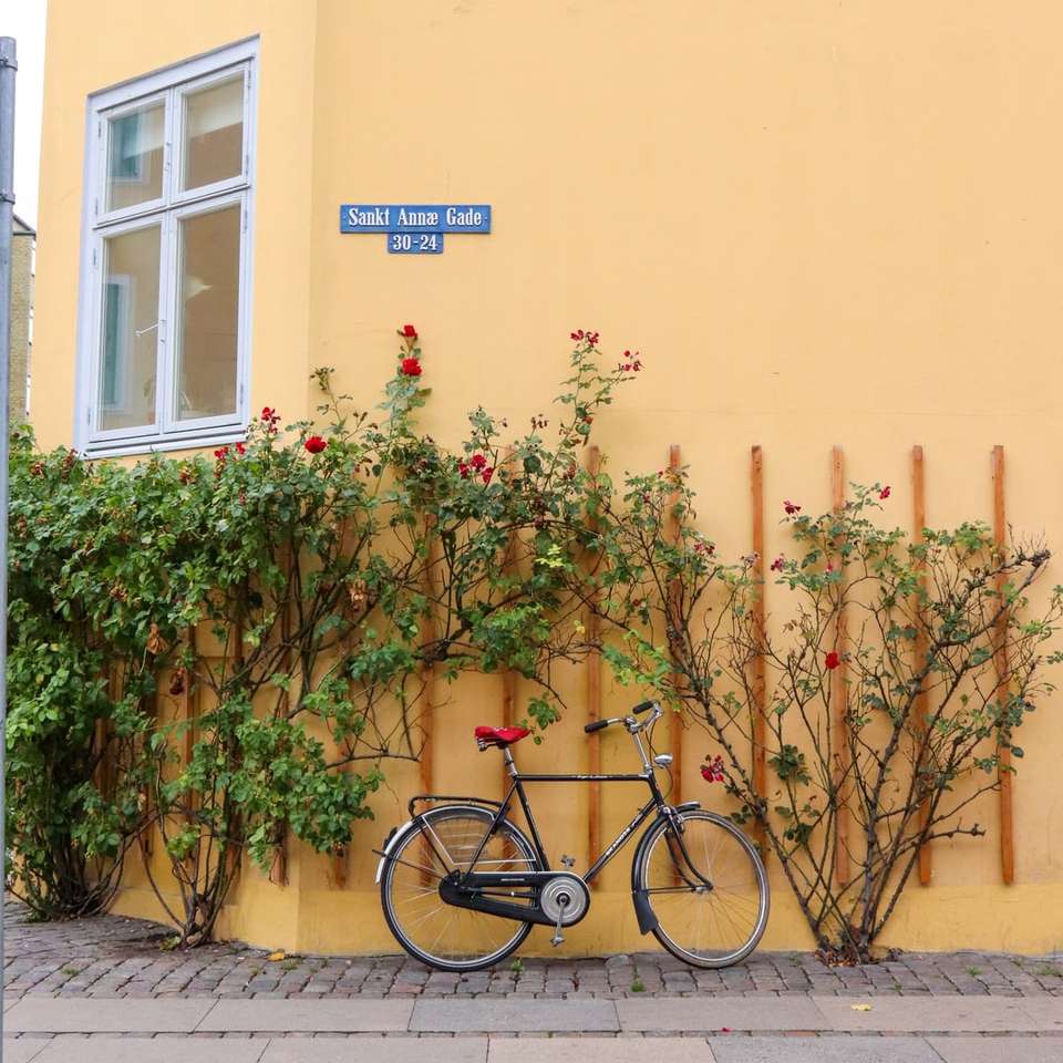 Fahrrad geparkt in der Nähe von Pflanzen Online-Puzzle