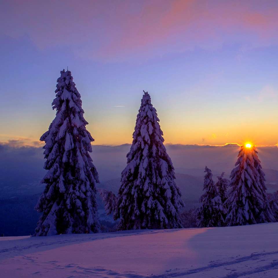winter evening - sunset online puzzle