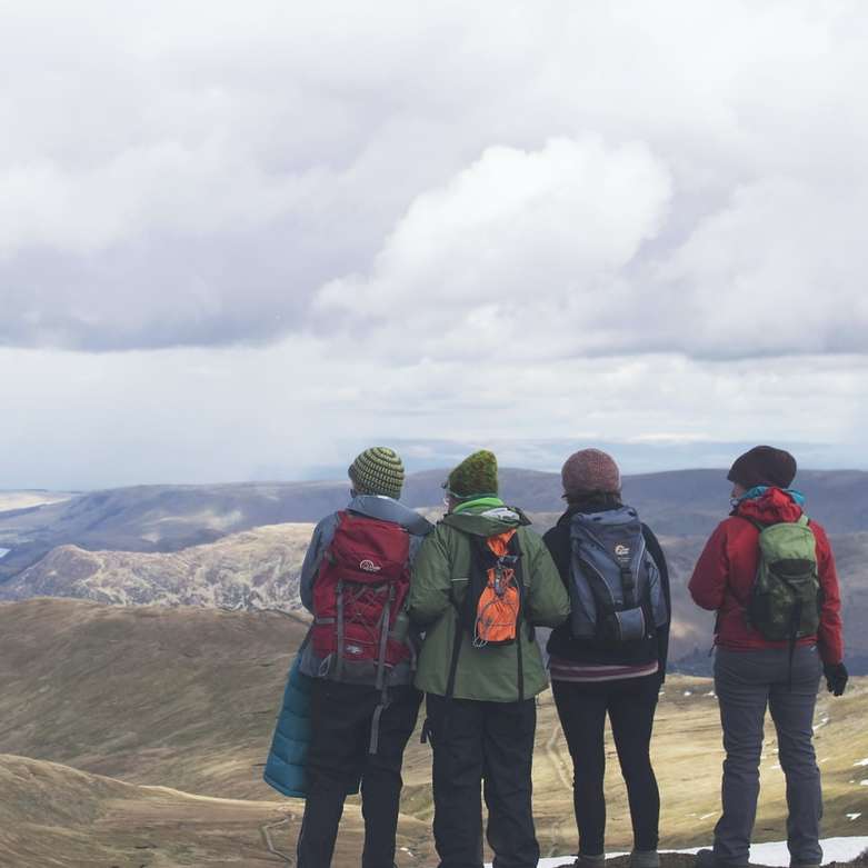 τέσσερα άτομα που στέκονται κοιτώντας θέα στο βουνό συρόμενο παζλ online