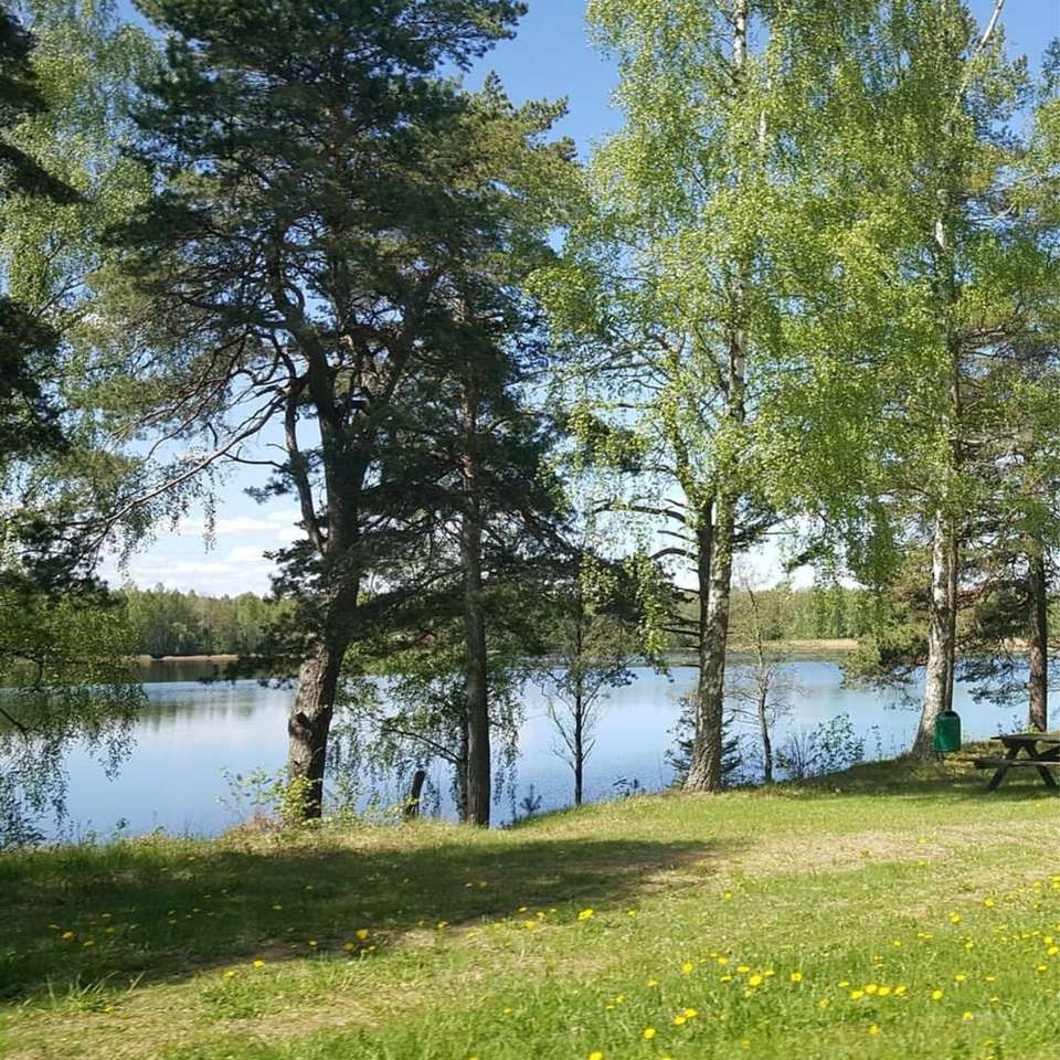 fält för grönt gräs nära sjön under dagtid Pussel online