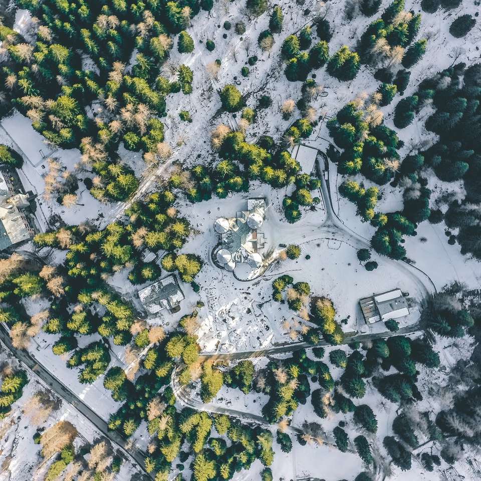 въздушен изглед на гора плъзгащ се пъзел онлайн