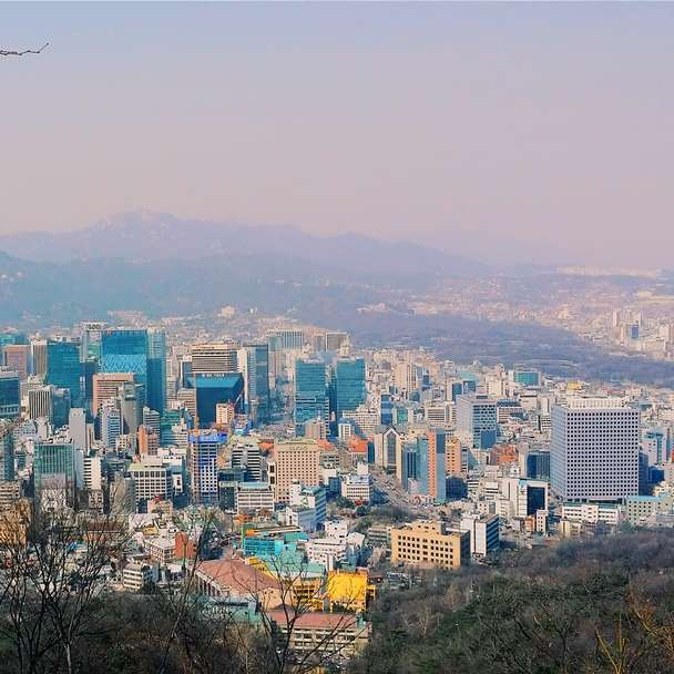luchtfotografie van de stad overdag online puzzel
