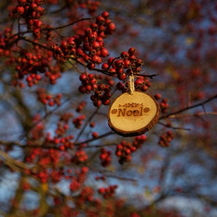 okrągły brązowy wiszący dekor Noel na czerwonych owocach puzzle przesuwne online
