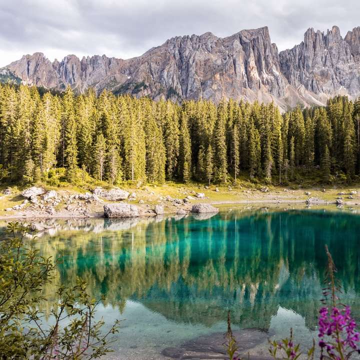 дзеркальна фотографія гір і дерев поблизу водойми онлайн пазл