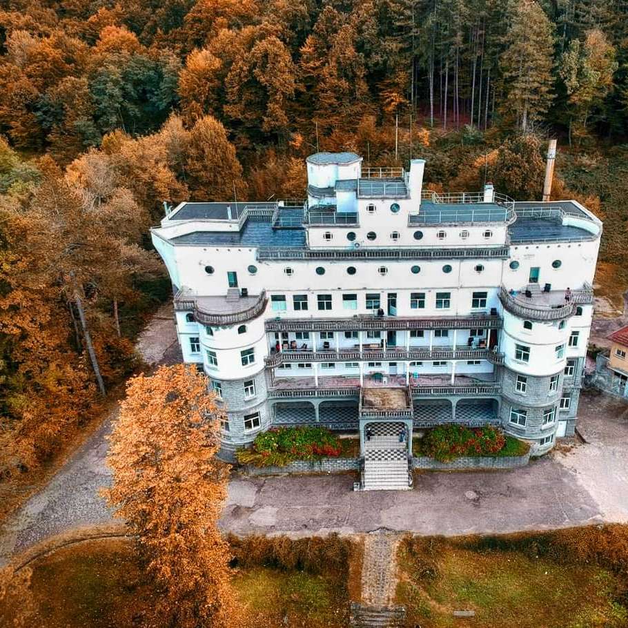 jedinečné budovy - parník v lese online puzzle