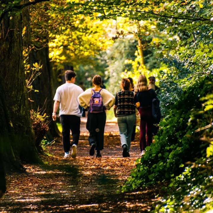άτομα που περπατούν στο δάσος κατά τη διάρκεια της ημέρας συρόμενο παζλ online