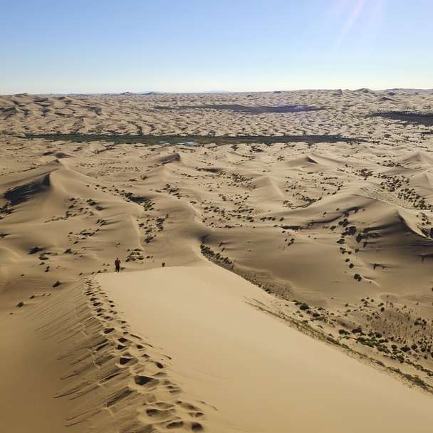 Luftaufnahme der Wüste Online-Puzzle