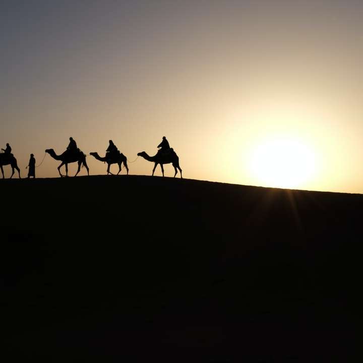 silhueta de pessoas andando em camelos puzzle online