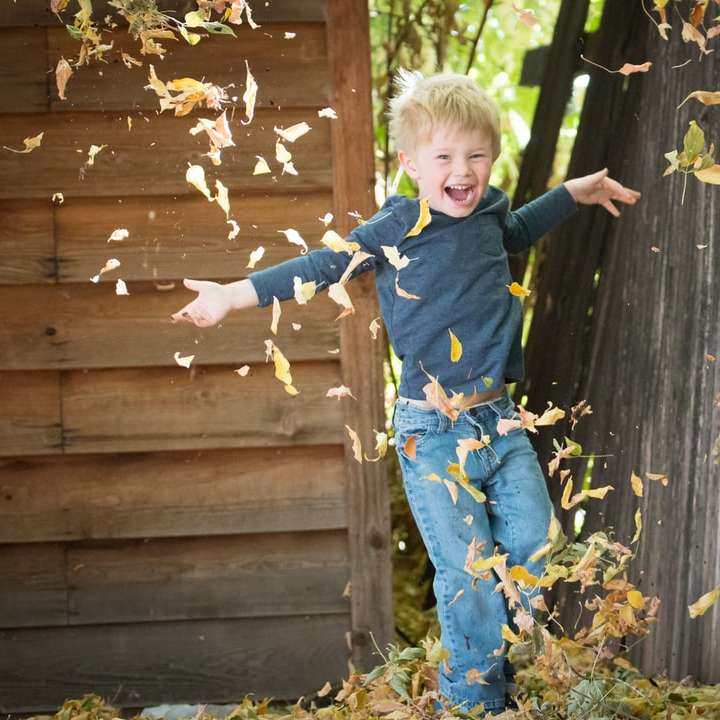 photo of boy near fence with falling leaves online puzzle