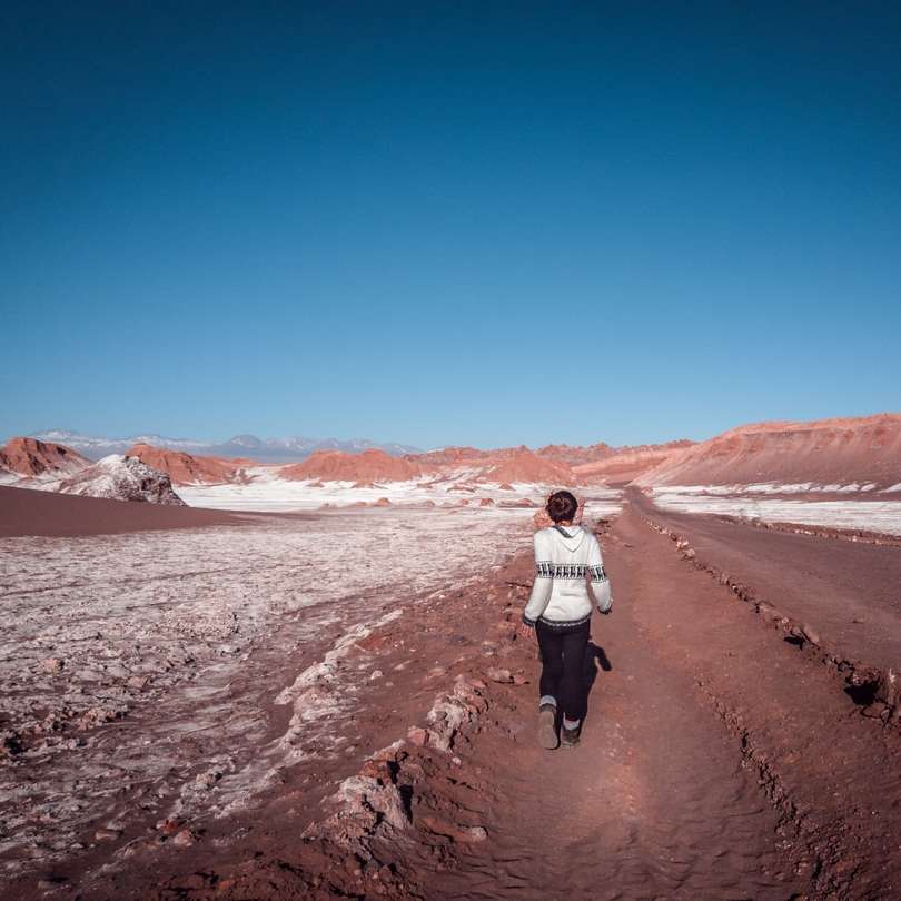 vrouw wandelen langs dessert onder blauwe hemel overdag online puzzel