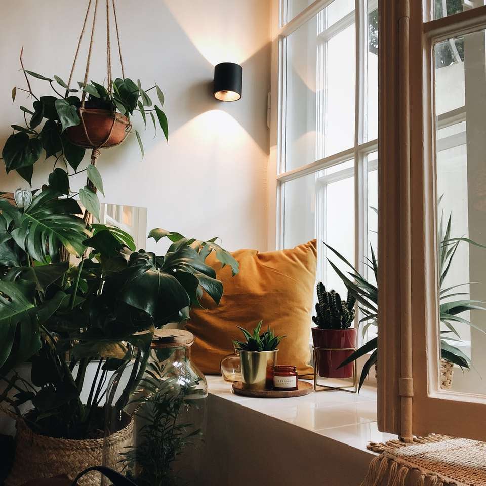καφέ μαξιλάρι κοντά στο παράθυρο κατά τη διάρκεια της ημέρας online παζλ
