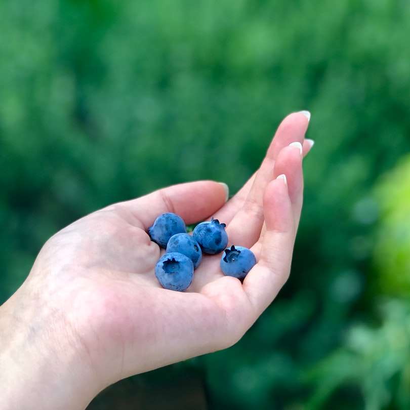 fem blåbär glidande pussel online