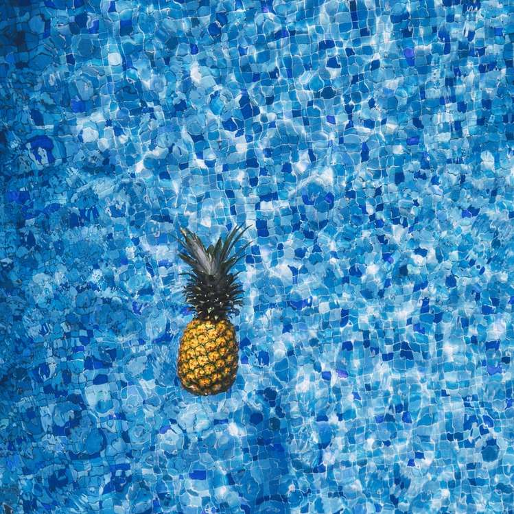 aerial view photography of pineapple on body of water sliding puzzle online