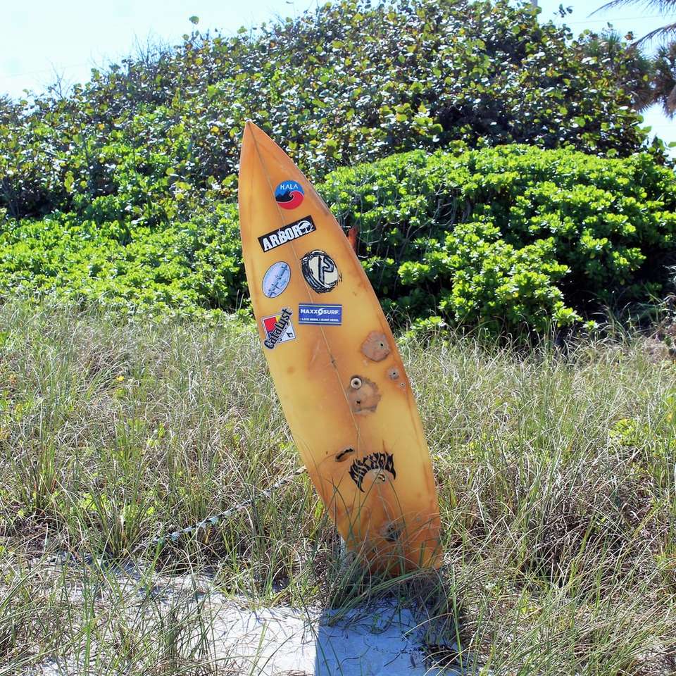 Tabla de surf amarilla en el campo de hierba verde durante el día rompecabezas en línea