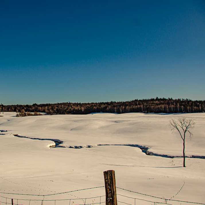 Clôture en bois brun sur sol couvert de neige sous le ciel bleu puzzle en ligne