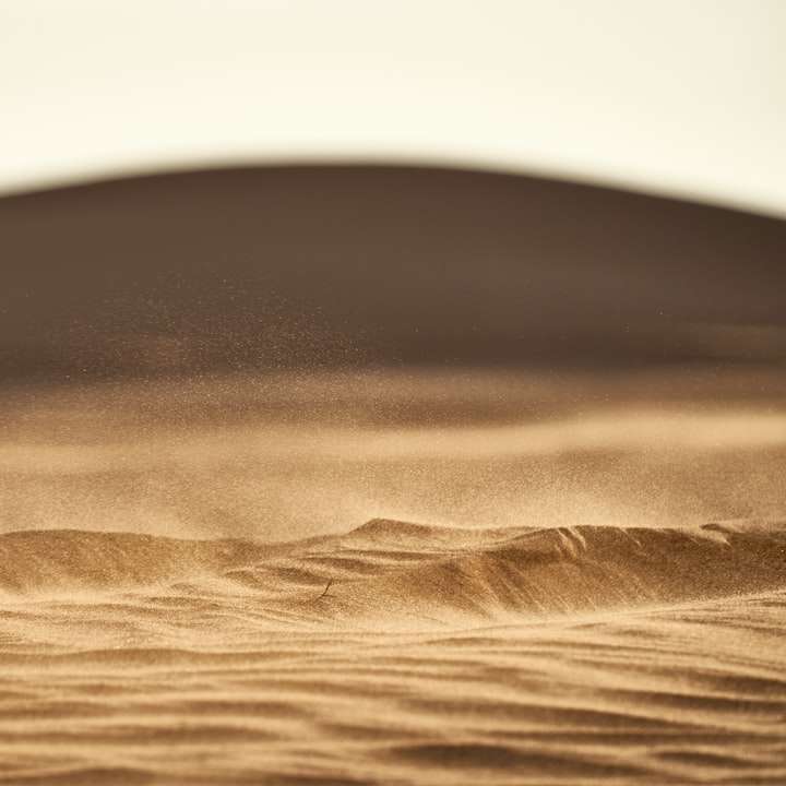arena marrón en fotografía en primer plano puzzle deslizante online