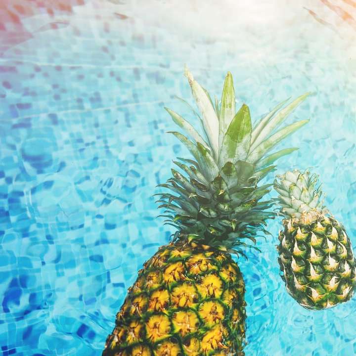 due ananas sul corpo d'acqua puzzle online
