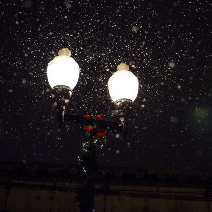 low-angle photo of 2-bulb lamp with snow falling online puzzle