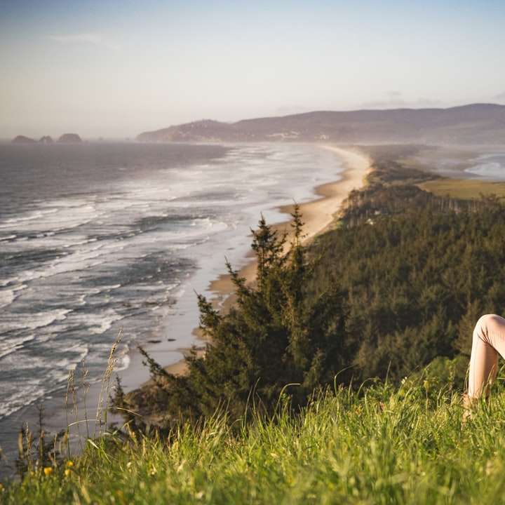 person sitting on hill near ocean during daytime online puzzle