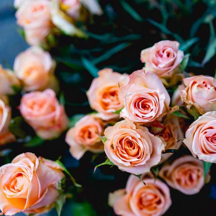 różowe kwiaty puzzle online