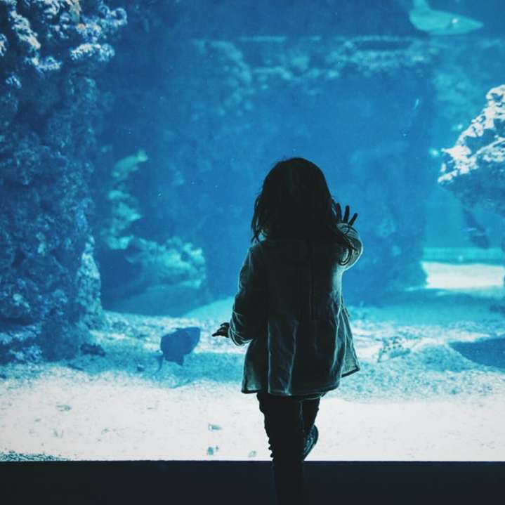 маленька дівчинка торкаючись скляного резервуара розсувний пазл онлайн