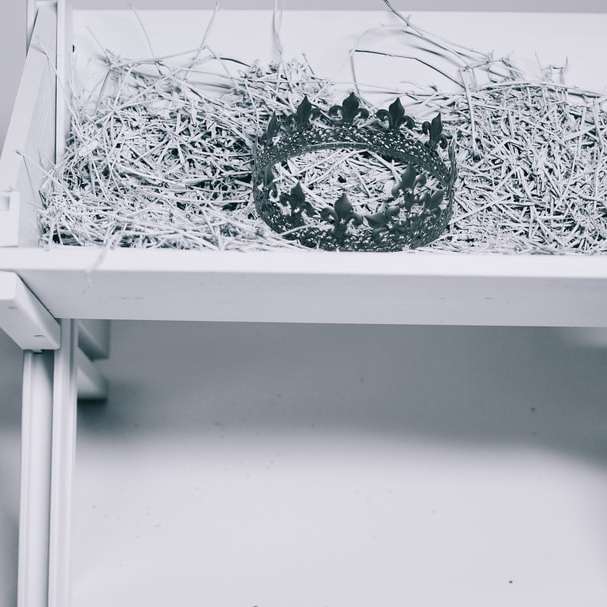 gråskalefoto av krona i vagn Pussel online