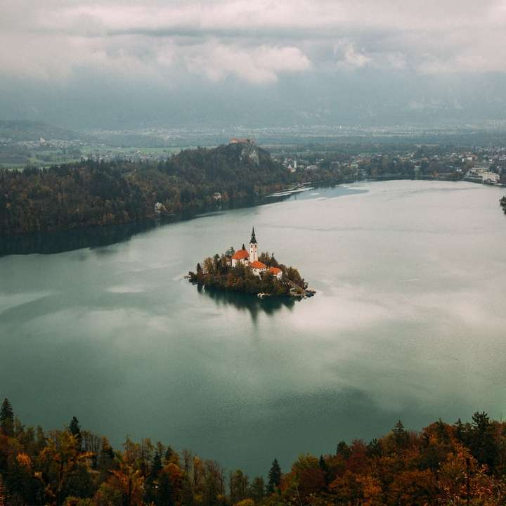 letecký pohled na zelené stromy a jezero během dne online puzzle
