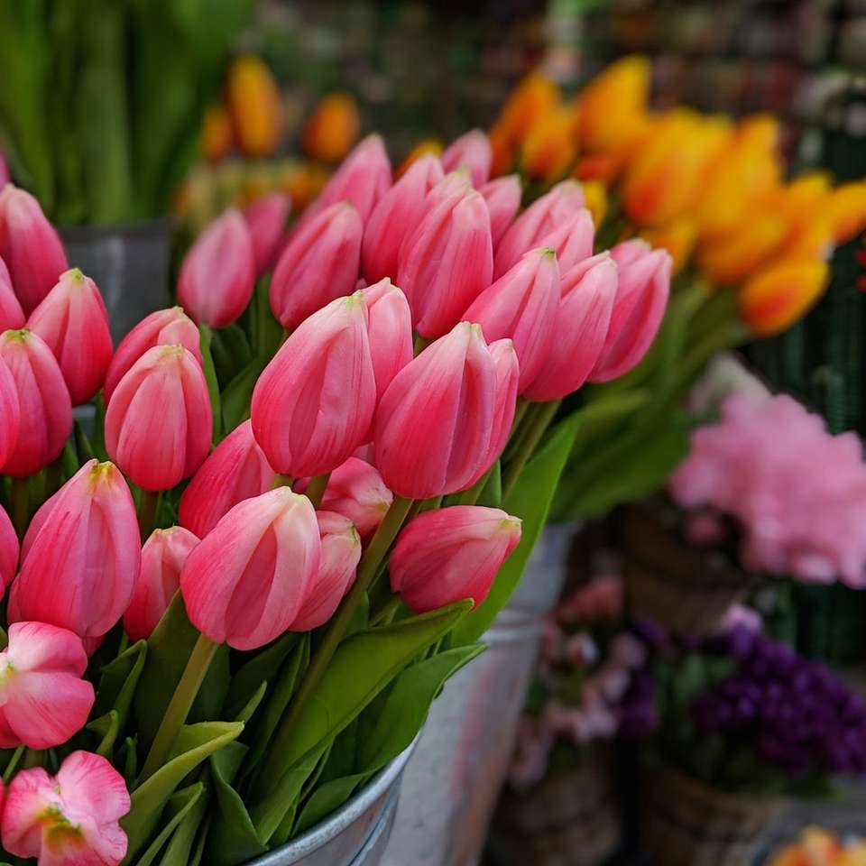 rózsaszín tulipán csúszó puzzle online