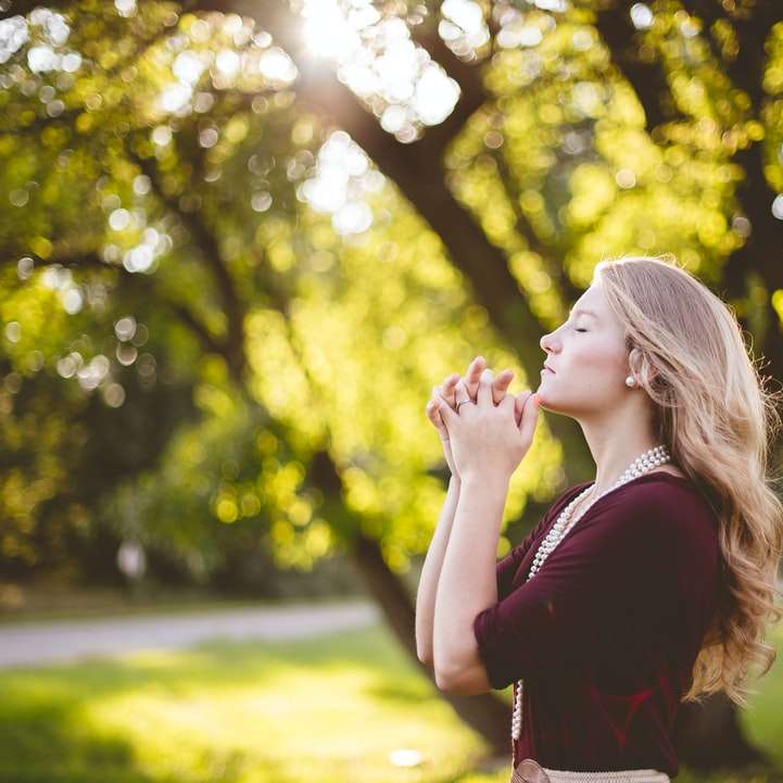 mujer rezando bajo un árbol durante el día puzzle deslizante online