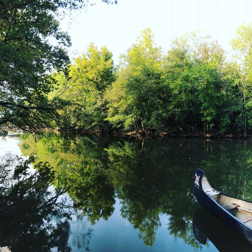 кафява лодка на езеро, заобиколено от зелени дървета през деня онлайн пъзел