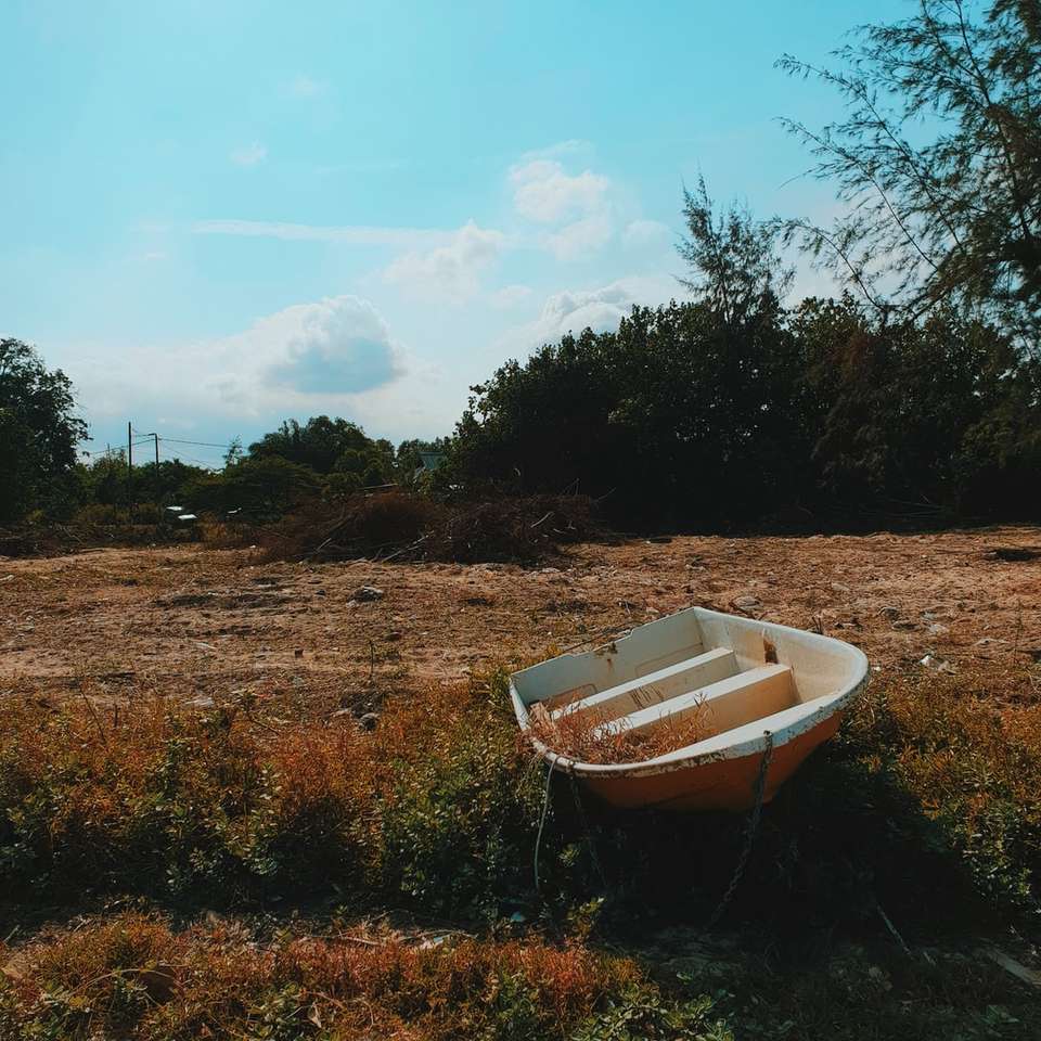 Barco blanco en el campo de hierba marrón durante el día rompecabezas en línea