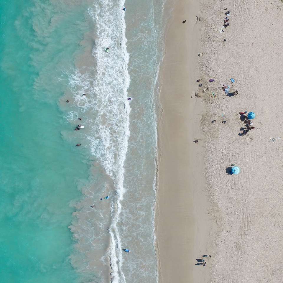 ludzie na plaży w ciągu dnia puzzle przesuwne online