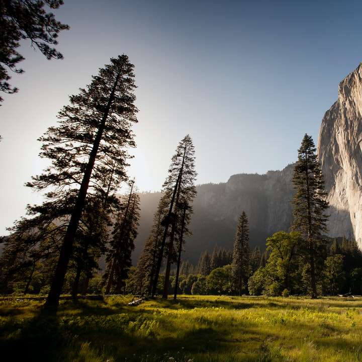 fotografia histórica de árvores perto de uma montanha rochosa puzzle deslizante online