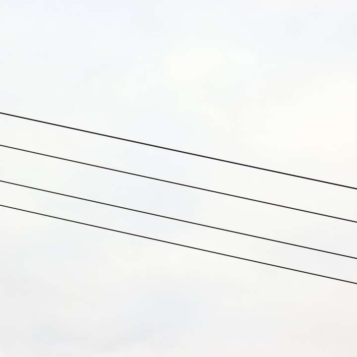 Cables eléctricos negros bajo un cielo blanco durante el día puzzle deslizante online