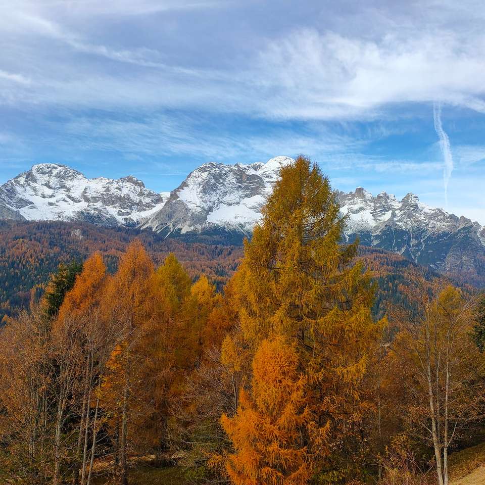 copaci maronii și verzi lângă munte acoperit de zăpadă puzzle online