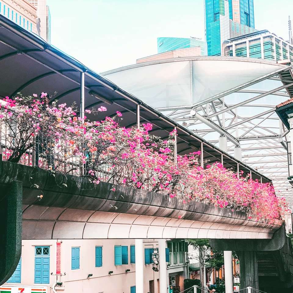 rosa blühende Pflanzen im Blumenkasten des 2. Stocks des Gebäudes Schiebepuzzle online