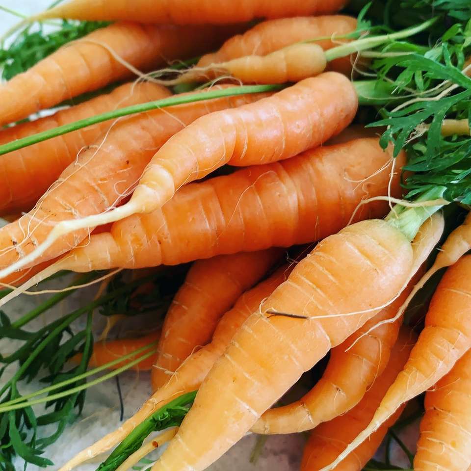 πορτοκαλί καρότα στο πράσινο γρασίδι κατά τη διάρκεια της ημέρας συρόμενο παζλ online