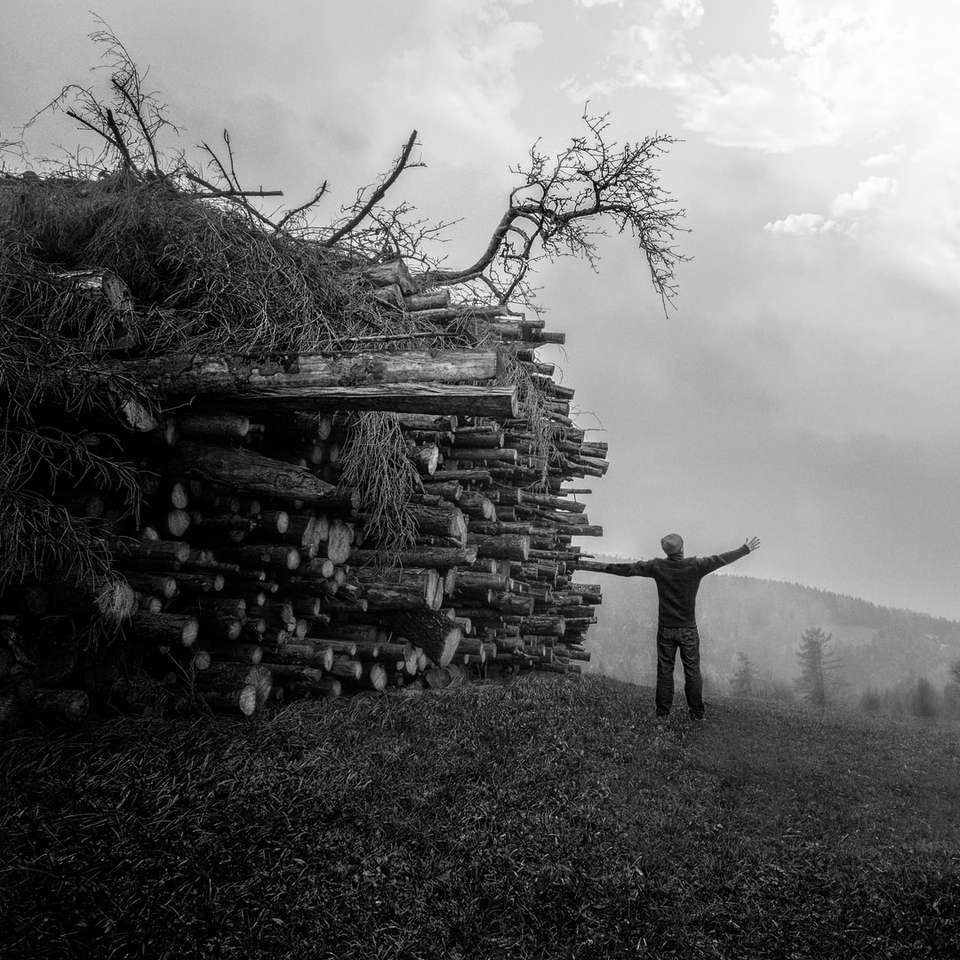 fotografia in scala di grigi di un uomo in piedi accanto a mucchi di boschi puzzle scorrevole online