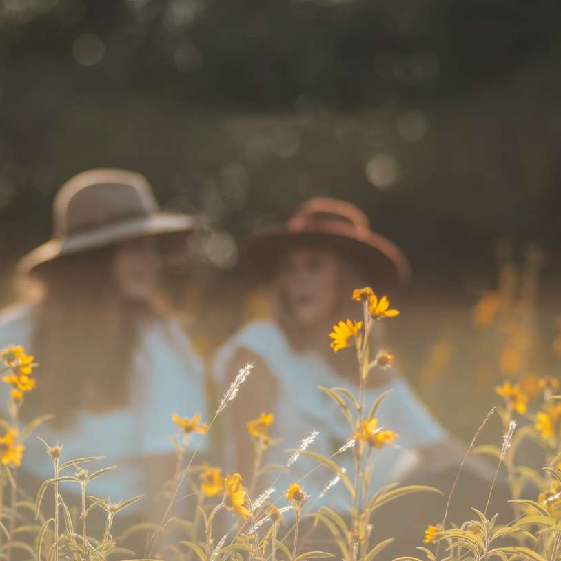 Mujer con sombrero para el sol blanco sentado en el campo de flores blancas puzzle deslizante online